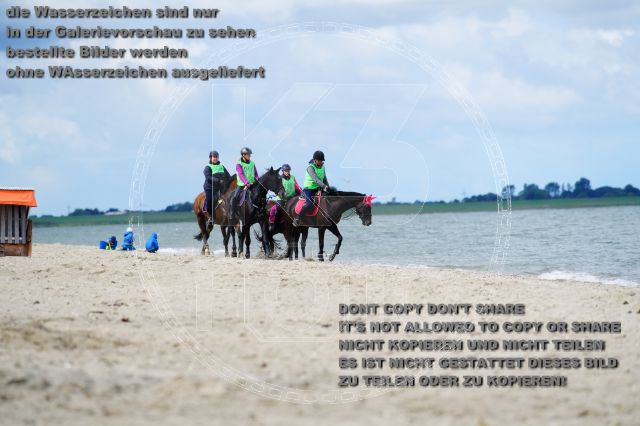s_K3F05135.JPG
